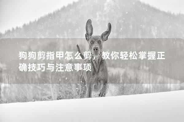 狗狗剪指甲怎么剪，教你輕松掌握正確技巧與注意事項