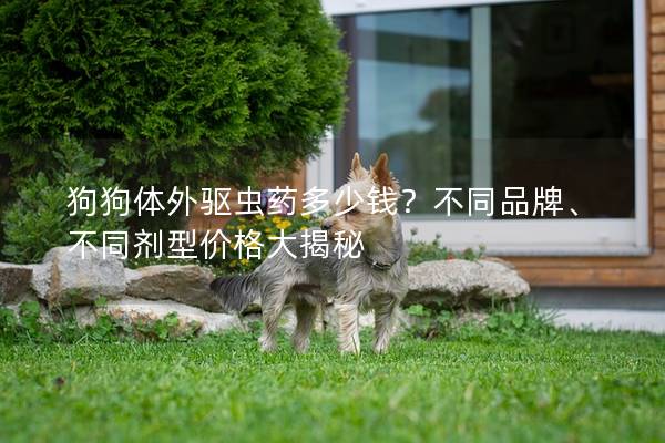 狗狗體外驅(qū)蟲藥多少錢？不同品牌、不同劑型價格大揭秘