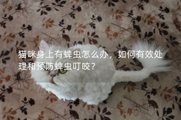 貓咪身上有蜱蟲怎么辦，如何有效處理和預防蜱蟲叮咬？