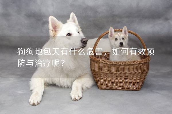 狗狗地包天有什么危害，如何有效預防與治療呢？