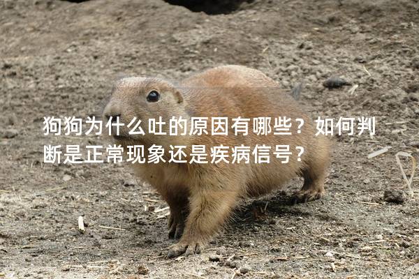 狗狗為什么吐的原因有哪些？如何判斷是正常現象還是疾病信號？