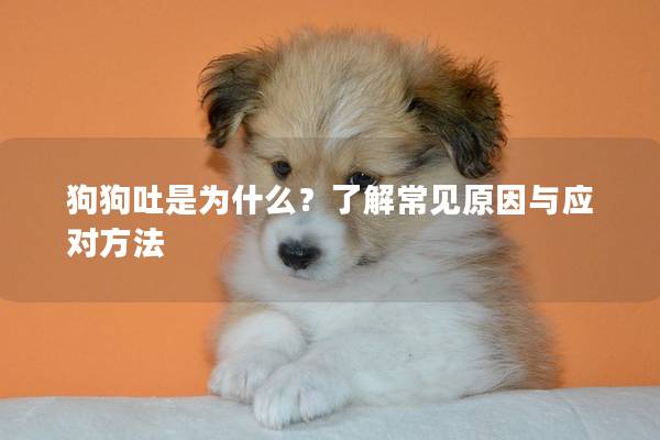 狗狗吐是為什么？了解常見(jiàn)原因與應(yīng)對(duì)方法