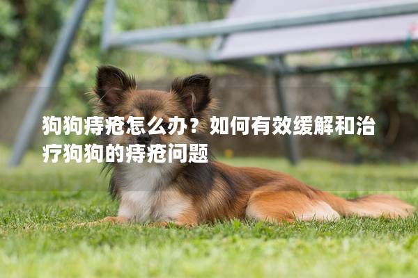 狗狗痔瘡怎么辦？如何有效緩解和治療狗狗的痔瘡問題