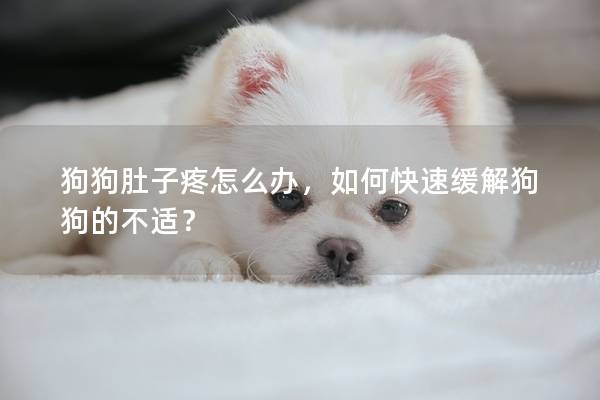 狗狗肚子疼怎么辦，如何快速緩解狗狗的不適？