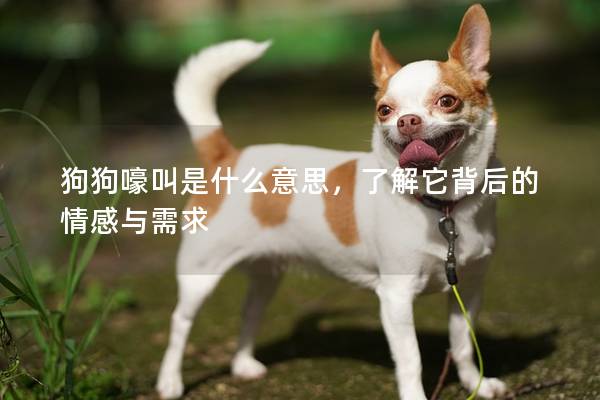 狗狗嚎叫是什么意思，了解它背后的情感與需求