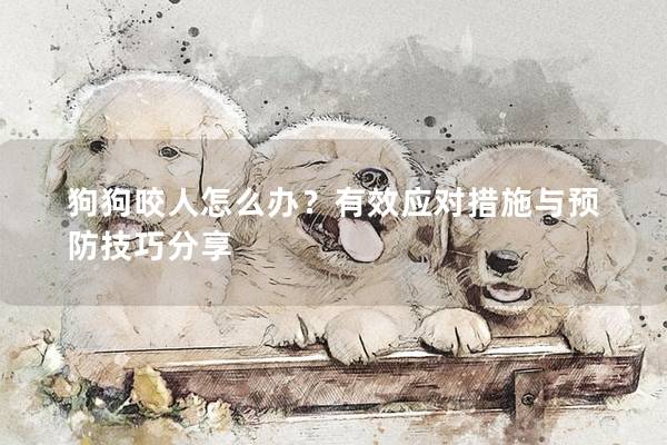 狗狗咬人怎么辦？有效應對措施與預防技巧分享