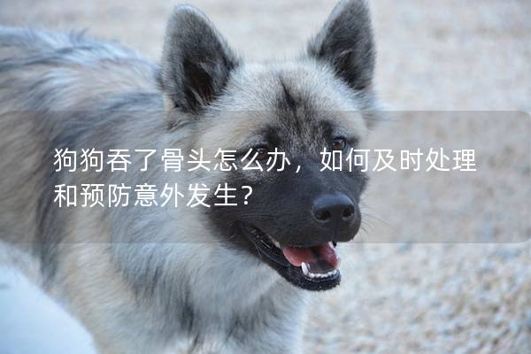 狗狗吞了骨頭怎么辦,如何及時處理和預防意外發生? 狗狗吞了骨頭怎么辦,如何及時處理和預防意外發生?