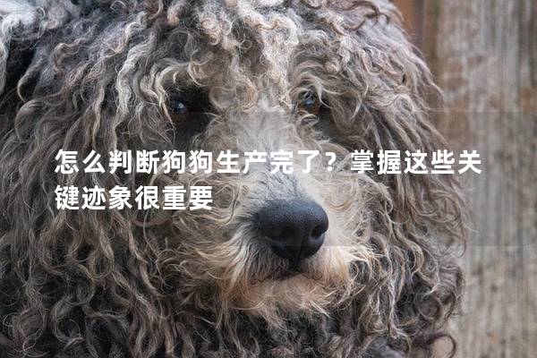 怎么判斷狗狗生產(chǎn)完了？掌握這些關(guān)鍵跡象很重要