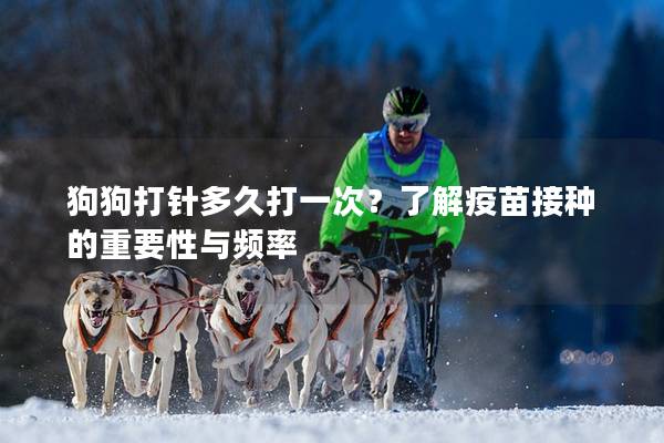 狗狗打針多久打一次？了解疫苗接種的重要性與頻率