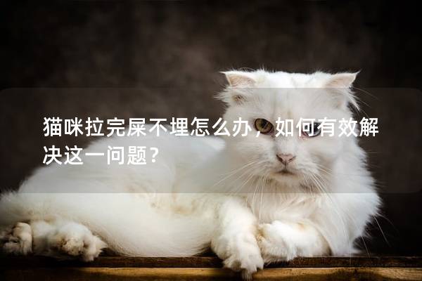 貓咪拉完屎不埋怎么辦，如何有效解決這一問題？