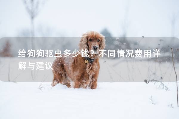 給狗狗驅(qū)蟲多少錢？不同情況費(fèi)用詳解與建議