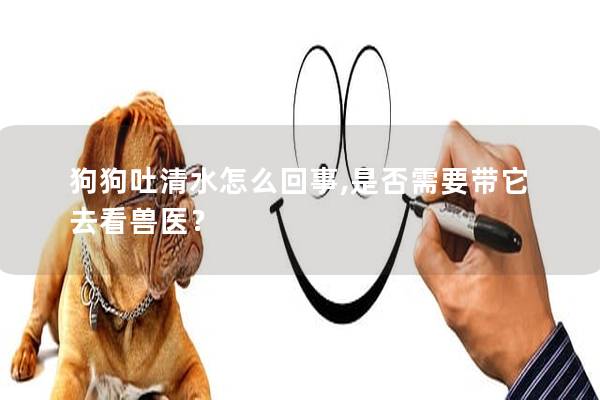 狗狗吐清水怎么回事,是否需要帶它去看獸醫？
