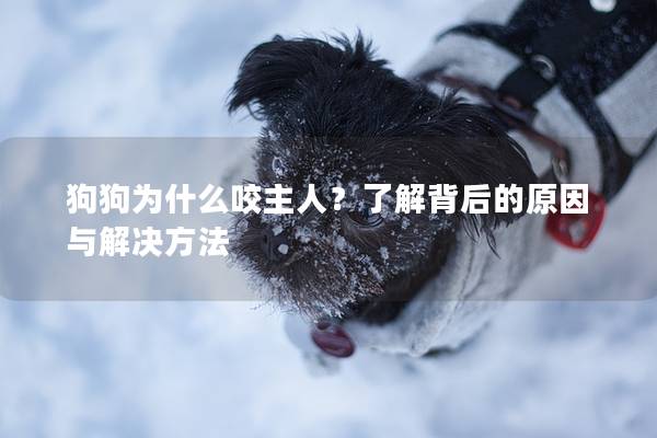 狗狗為什么咬主人？了解背后的原因與解決方法