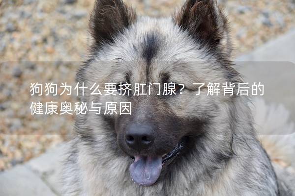 狗狗為什么要擠肛門腺？了解背后的健康奧秘與原因