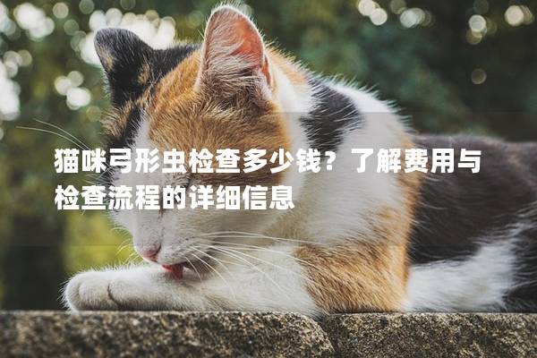 貓咪弓形蟲檢查多少錢？了解費用與檢查流程的詳細信息