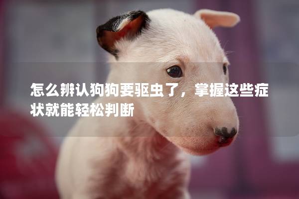 怎么辨認(rèn)狗狗要驅(qū)蟲了，掌握這些癥狀就能輕松判斷