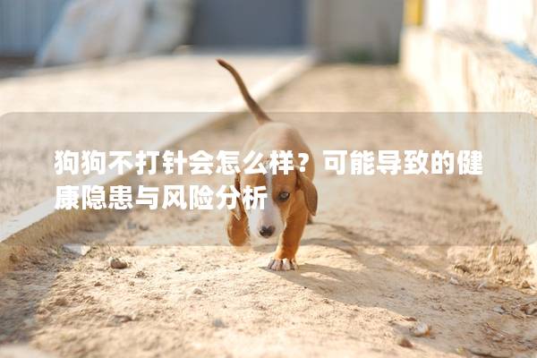 狗狗不打針會(huì)怎么樣？可能導(dǎo)致的健康隱患與風(fēng)險(xiǎn)分析