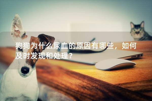 狗狗為什么尿血的原因有哪些，如何及時發(fā)現(xiàn)和處理？