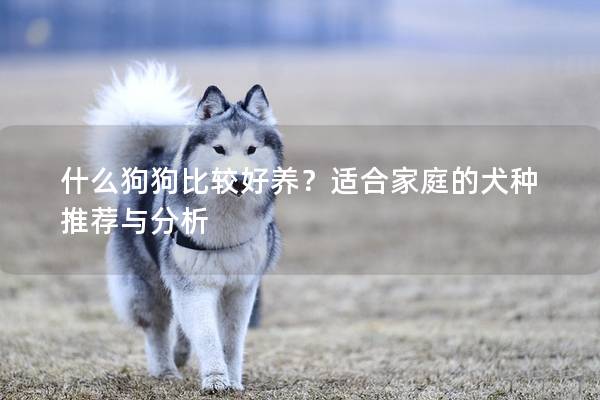 什么狗狗比較好養？適合家庭的犬種推薦與分析