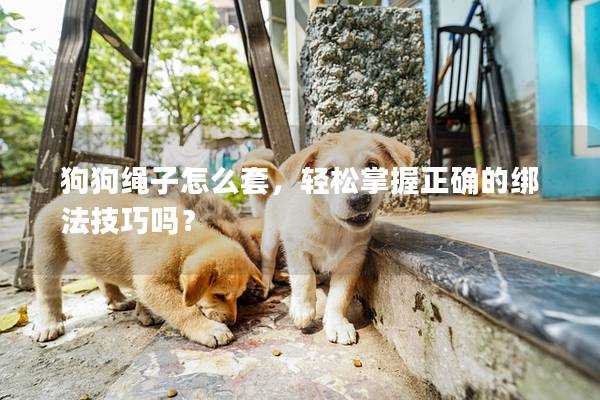 狗狗繩子怎么套，輕松掌握正確的綁法技巧嗎？