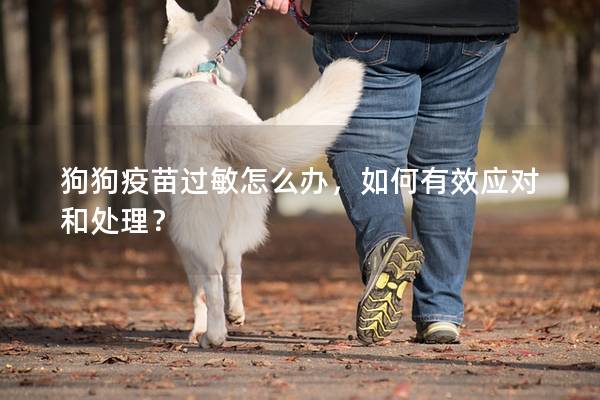 狗狗疫苗過敏怎么辦，如何有效應對和處理？
