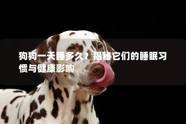 狗狗一天睡多久？揭秘它們的睡眠習慣與健康影響