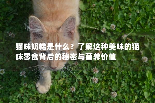 貓咪奶糕是什么？了解這種美味的貓咪零食背后的秘密與營養(yǎng)價值