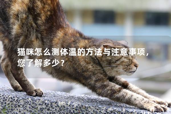 貓咪怎么測體溫的方法與注意事項，您了解多少？