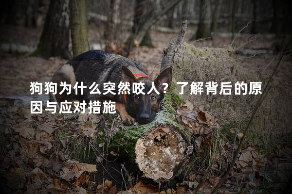 狗狗為什么突然咬人？了解背后的原因與應對措施