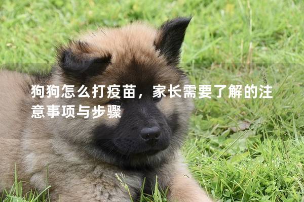 狗狗怎么打疫苗，家長需要了解的注意事項與步驟