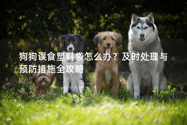 狗狗誤食塑料袋怎么辦？及時處理與預(yù)防措施全攻略