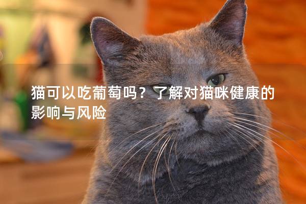 貓可以吃葡萄嗎？了解對貓咪健康的影響與風險