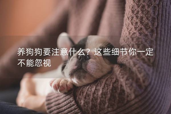 養(yǎng)狗狗要注意什么？這些細(xì)節(jié)你一定不能忽視