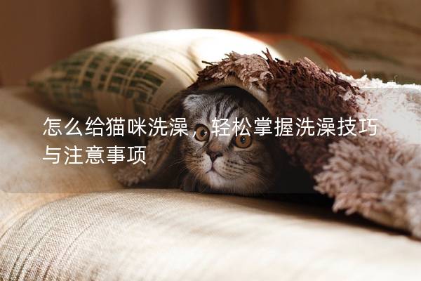 怎么給貓咪洗澡，輕松掌握洗澡技巧與注意事項