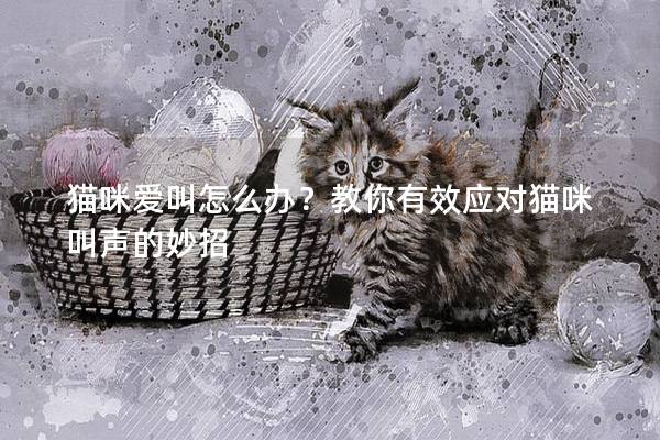 貓咪愛叫怎么辦？教你有效應對貓咪叫聲的妙招