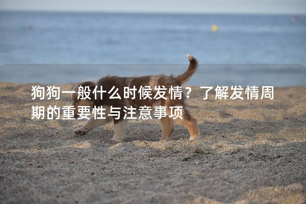 狗狗一般什么時候發情？了解發情周期的重要性與注意事項