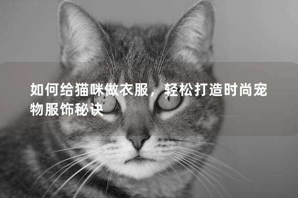 如何給貓咪做衣服，輕松打造時尚寵物服飾秘訣
