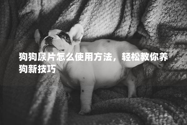 狗狗尿片怎么使用方法，輕松教你養狗新技巧