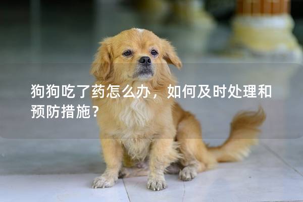 狗狗吃了藥怎么辦，如何及時處理和預防措施？