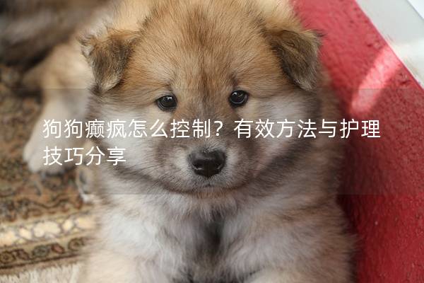 狗狗癲瘋怎么控制？有效方法與護理技巧分享