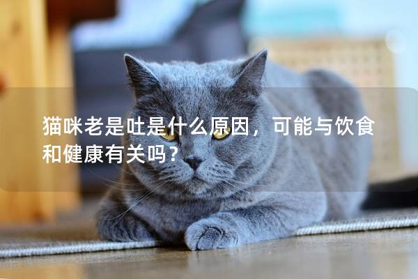 貓咪老是吐是什么原因，可能與飲食和健康有關(guān)嗎？