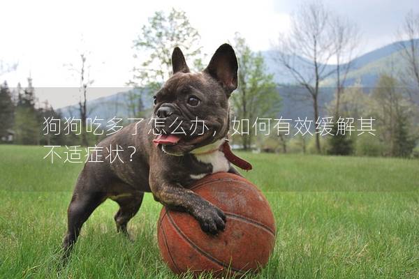 狗狗吃多了怎么辦，如何有效緩解其不適癥狀？
