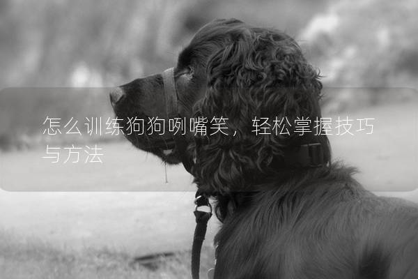 怎么訓(xùn)練狗狗咧嘴笑，輕松掌握技巧與方法