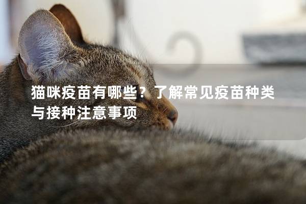 貓咪疫苗有哪些？了解常見疫苗種類與接種注意事項