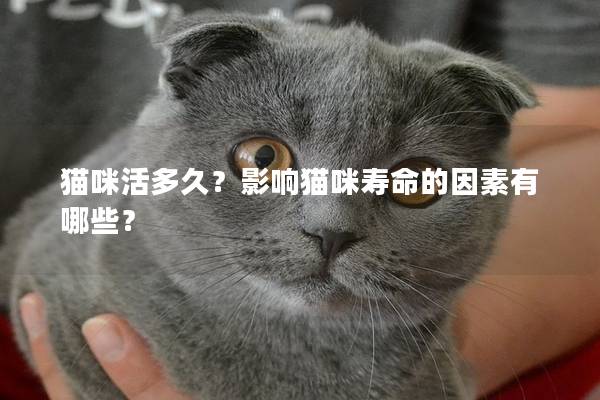 貓咪活多久？影響貓咪壽命的因素有哪些？