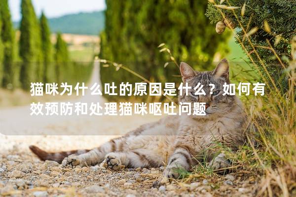 貓咪為什么吐的原因是什么？如何有效預(yù)防和處理貓咪嘔吐問題