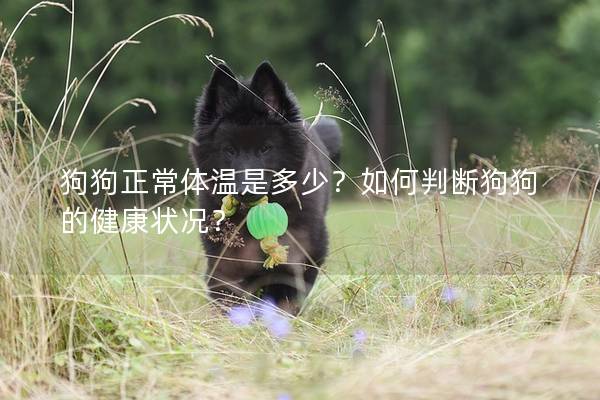 狗狗正常體溫是多少？如何判斷狗狗的健康狀況？