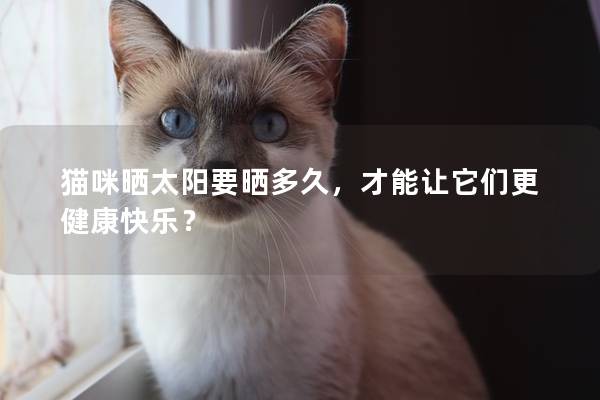 貓咪曬太陽要曬多久，才能讓它們更健康快樂？