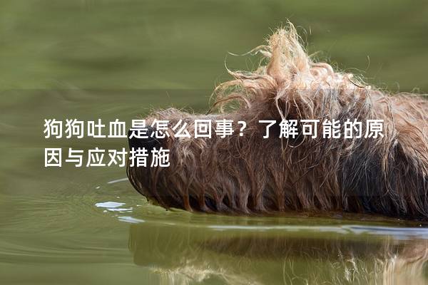 狗狗吐血是怎么回事？了解可能的原因與應對措施