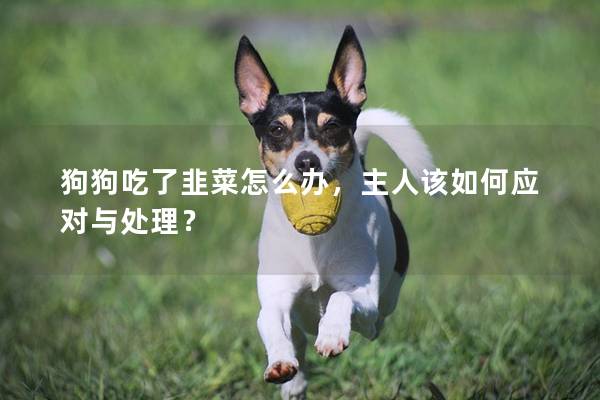 狗狗吃了韭菜怎么辦，主人該如何應對與處理？